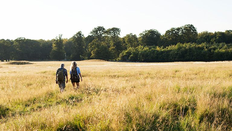 Mensen lopen door heide veld